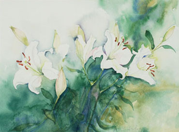 Lilies