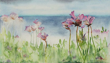 Thrift watercolour