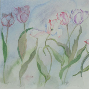 Tulips watercolour