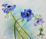 Blue Anemones watercolour by Hazel Barclay